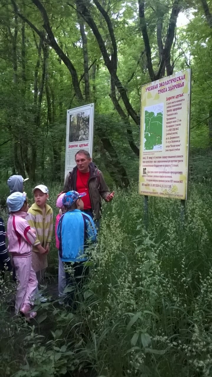 Ребята знакомятся с картой лесного массива